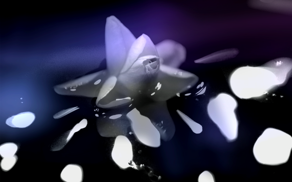 LIQUID LIGHT