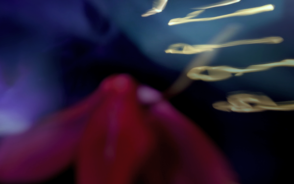 ASTRALIS : A LOST REALM