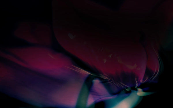 ANIMA