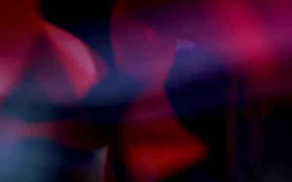 IN THE DARK