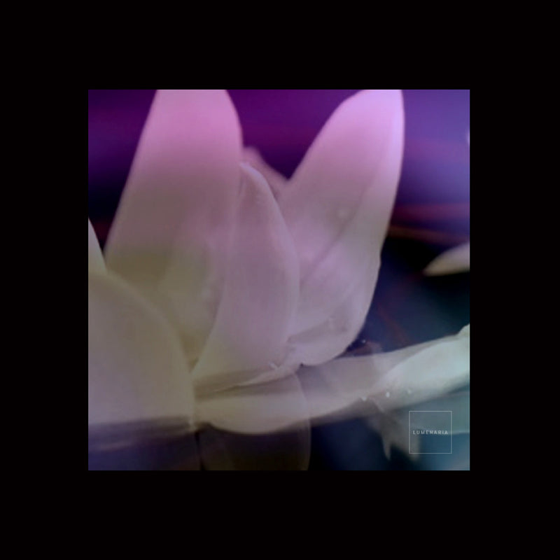 APPARITION