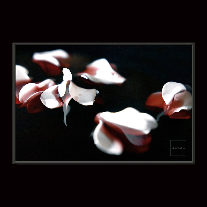 BLEEDING HEARTS