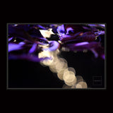 HALLUCINATION