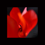 HEARTS ON FIRE
