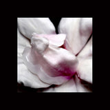 INCARNATION