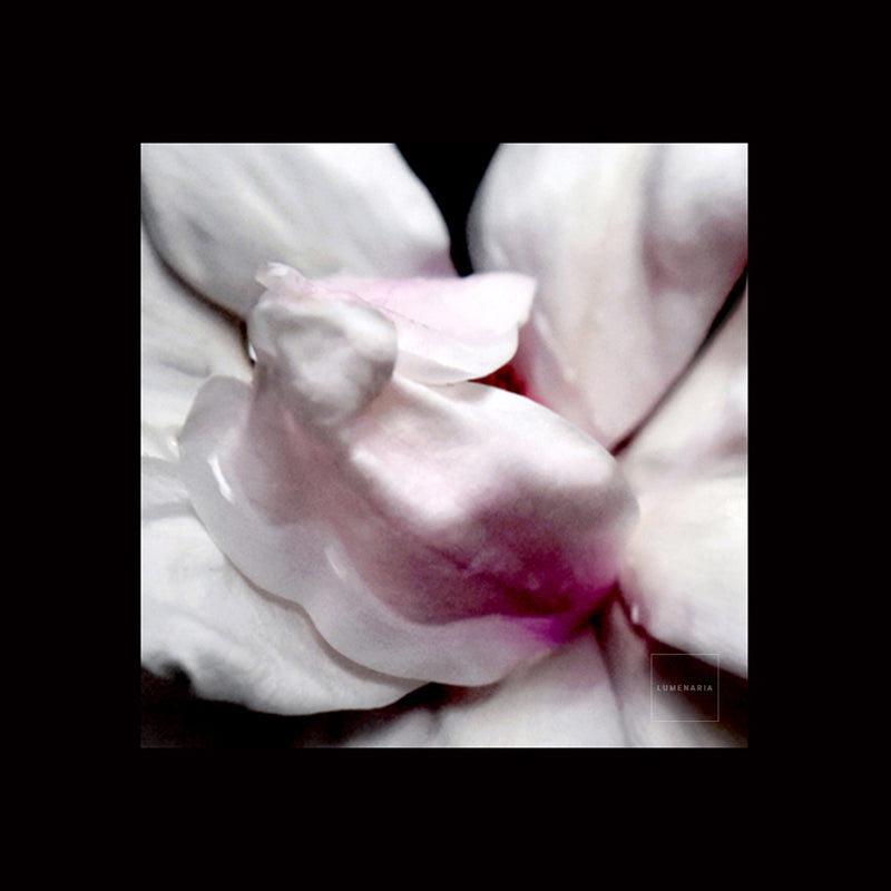 INCARNATION