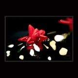 LOVE SONG