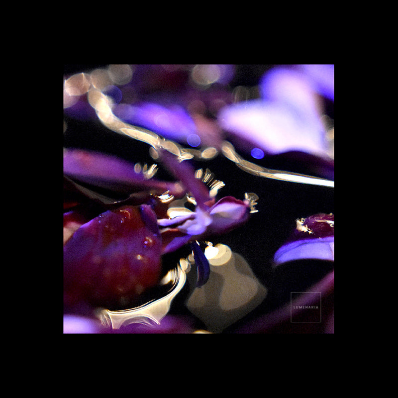 NIGHTLIGHT