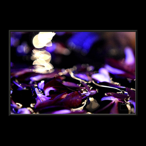 NIGHTLIGHT