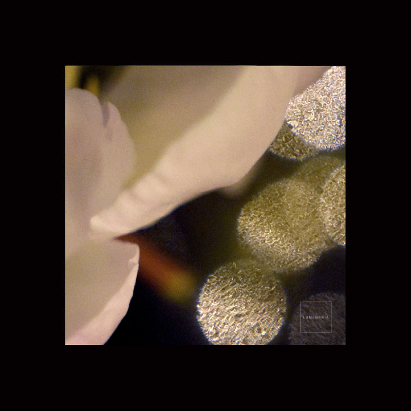 SOFT TOUCH