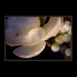 SOFT TOUCH