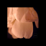THE LIGHT