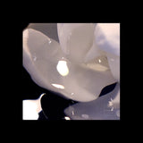 WHITE LIGHT