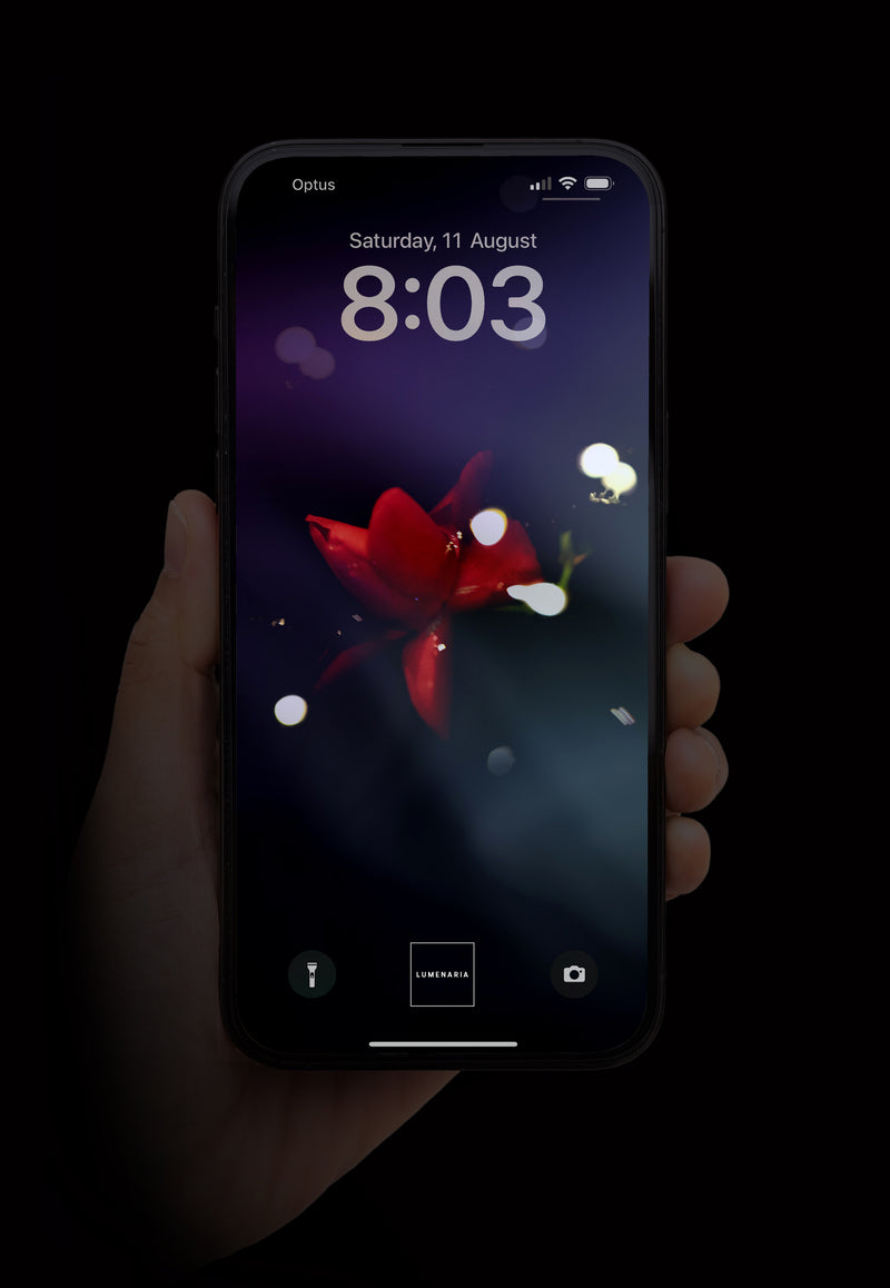 In the Stars (ArtPhone Wallpaper)