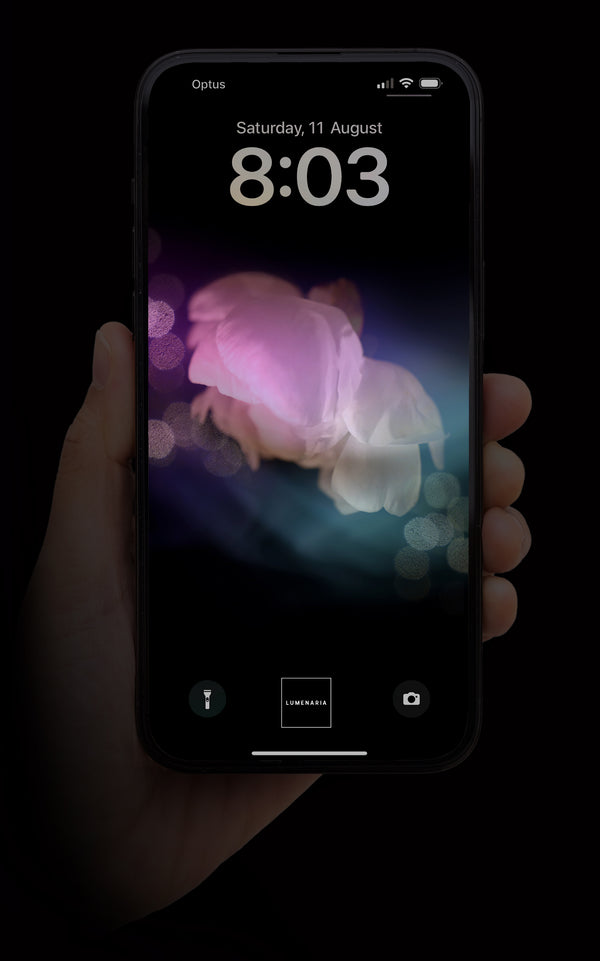 The Light (ArtPhone Wallpaper)
