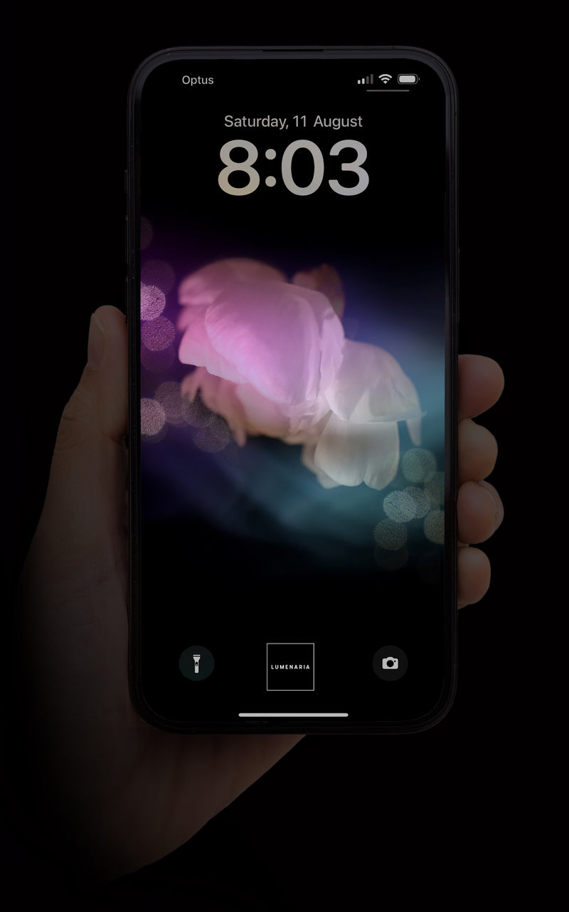 The Light (ArtPhone Wallpaper)