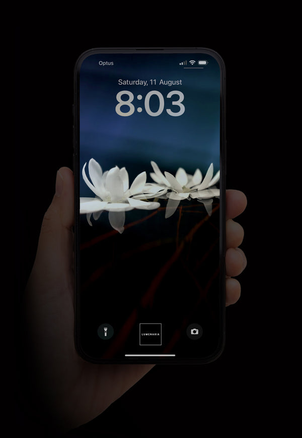 The Lovers (ArtPhone Wallpaper)